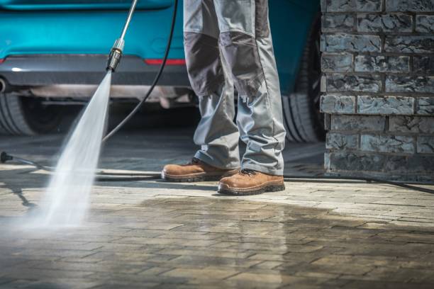 Best Driveway Pressure Washing  in Wolcott, IN