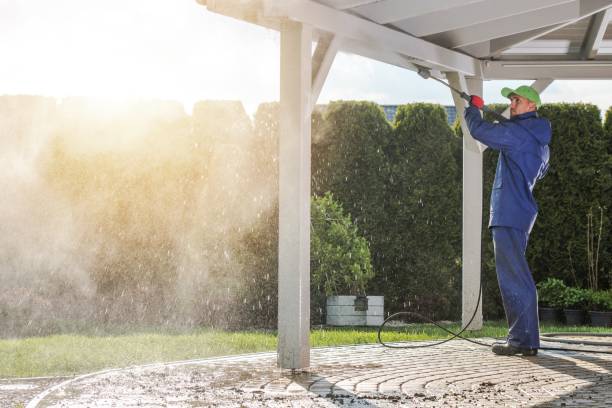 Best Building Exterior Washing  in Wolcott, IN