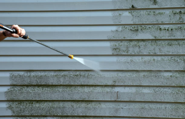 Best Dumpster Area Cleaning  in Wolcott, IN